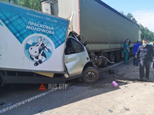 Два человека погибли в ДТП в Псковской области