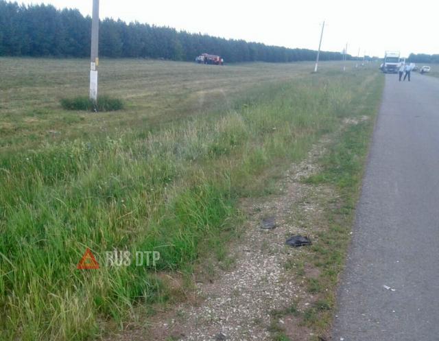 В Татарстане в ДТП с лошадью погибли три человека