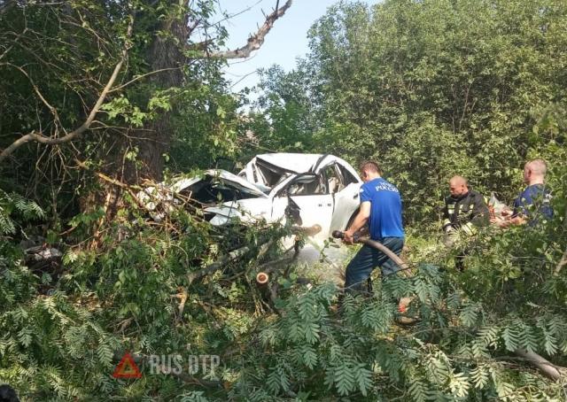 Мужчина и ребенок погибли в ДТП во Владимирской области