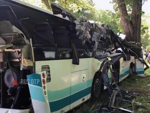 Автобус врезался в дерево в Калининградской области