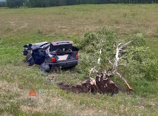 В Курганской области BMW-520 врезался в дерево