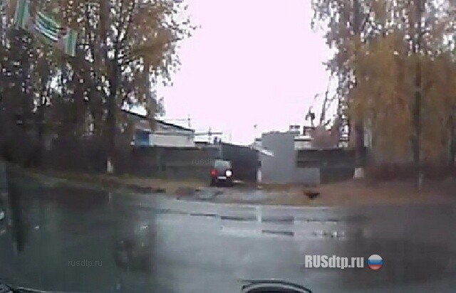 Отказало рулевое?.. 