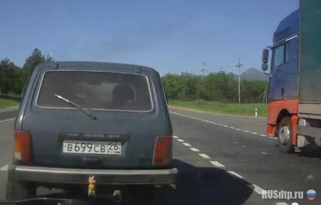 Медведь на фаркопе 