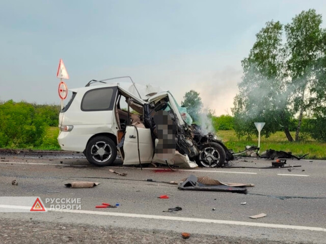 Водитель «Тойоты» разбился в Омской области 