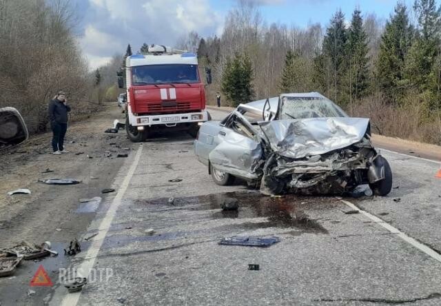 В Новгородской области в ДТП с участием полиции погибли два человека 