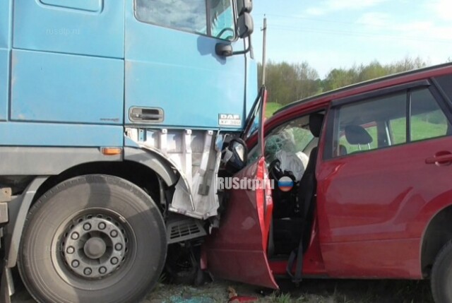 В Рязанской области дальнобойщик спровоцировал смертельное ДТП 