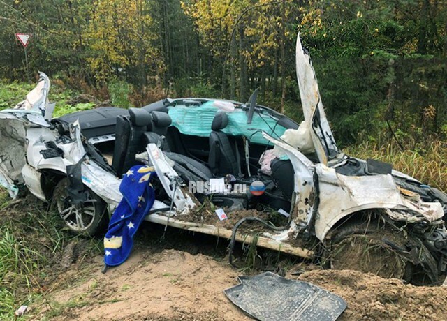 Двое молодых разбились на Audi в Тосненском районе 