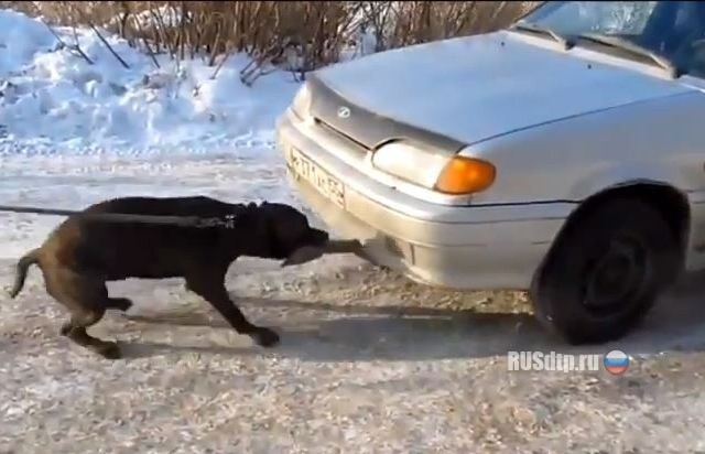 Взял на буксир 