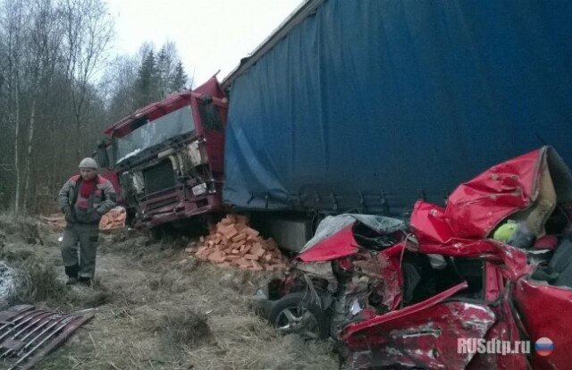 Два человека погибли в ДТП в Ленинградской области 