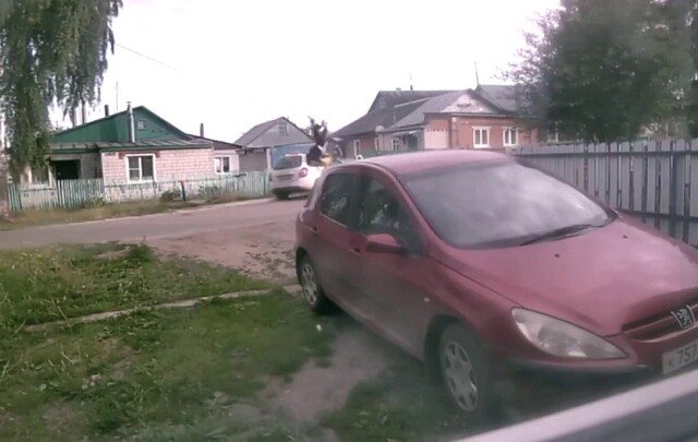 Авария в Ельце: водитель «Лады» при повороте не пропустил мотоциклиста 