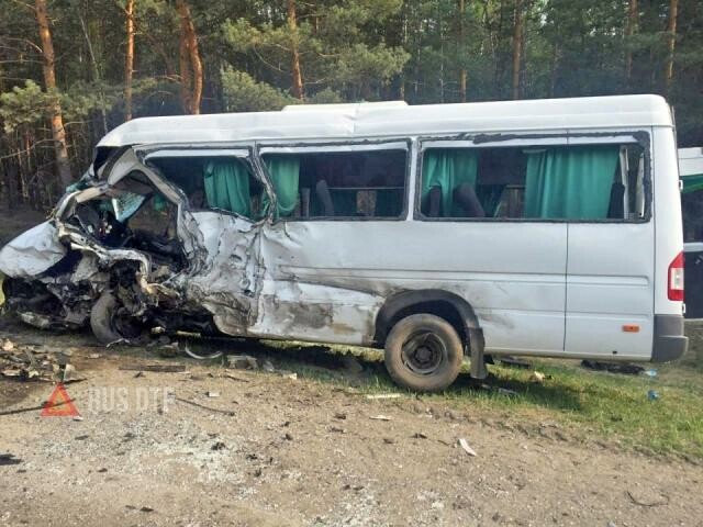 Пять человек погибли в ДТП с автобусом в Курганской области 