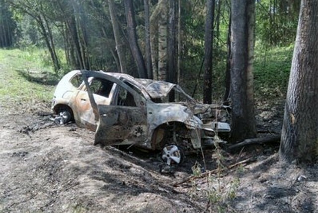 Под Выборгом двое погибли в ДТП из-за выбежавшего на дорогу лося 