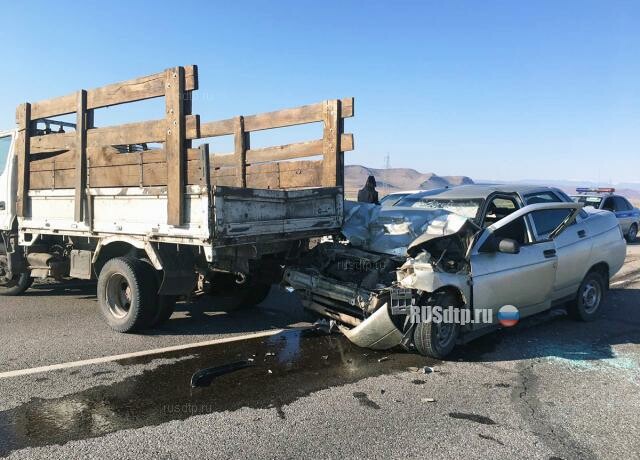 На трассе «Енисей» из-за стада коров в ДТП погиб водитель «десятки» 