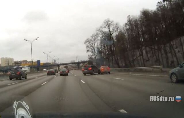 Шахматисты 