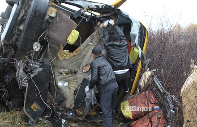 В Саратовском районе столкнулись МАЗ и автобус 