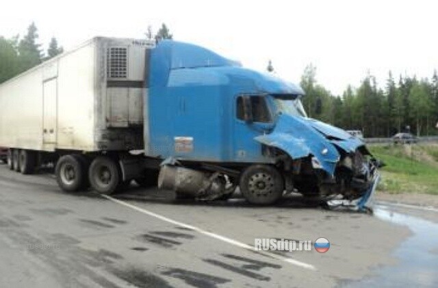 На трассе Кола столкнулись два грузовых автомобиля и автобус 