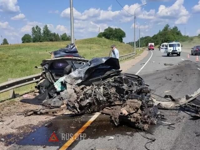 Камера запечатлела момент гибели бабушки, дедушки и внука 