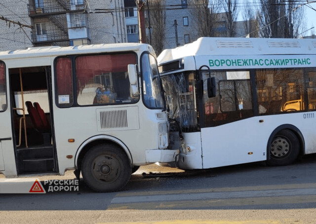 Два автобуса лоб в лоб столкнулись в Воронеже 