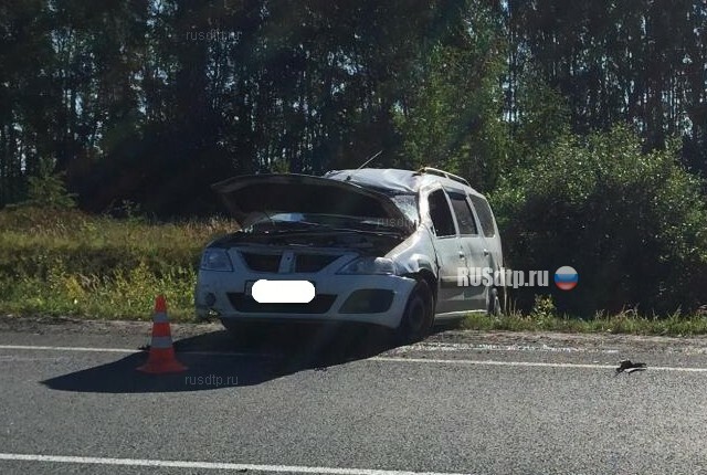 В Рязанской области беременная женщина погибла в ДТП по дороге в роддом 