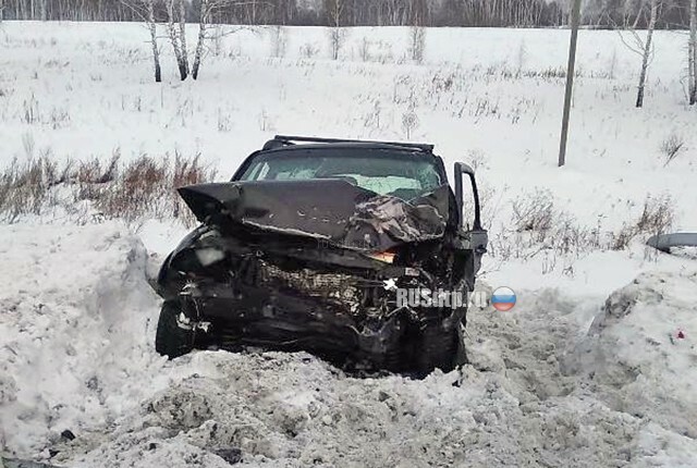 Пенсионерка погибла в массовом ДТП на трассе Челябинск-Новосибирск 