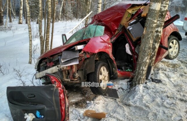 Житель Костромы погиб, врезавшись в дерево на трассе М-8 в Ярославской области 