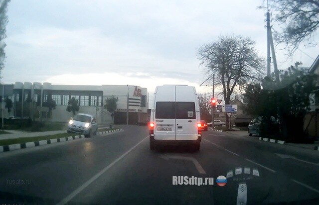 Бешеная слива 