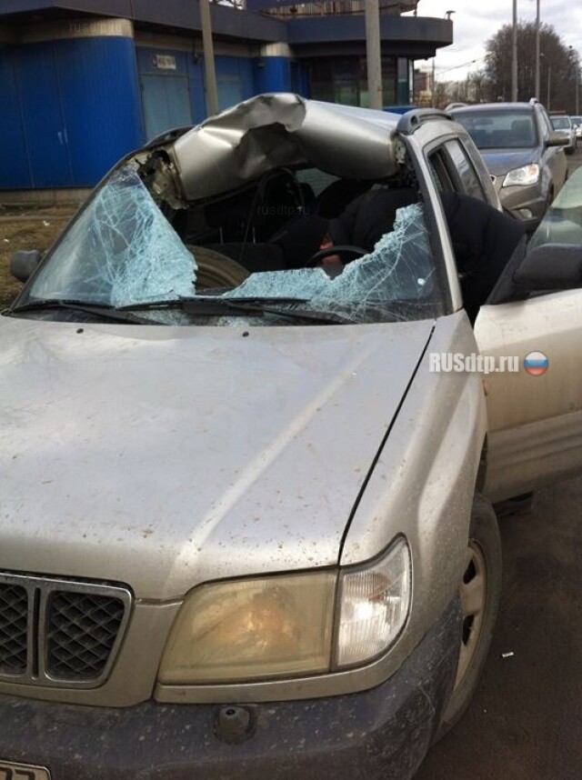 Опа! Нежданчик 