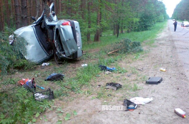 Лишенный прав водитель погиб, врезавшись в дерево 