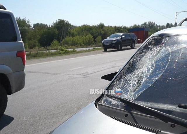 В Челябинске автоледи сбила бабушку с внучкой 