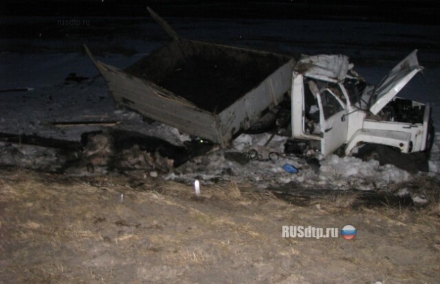 Пьяный дед на ГАЗе покалечил 8-летнего внука и угробил корову 