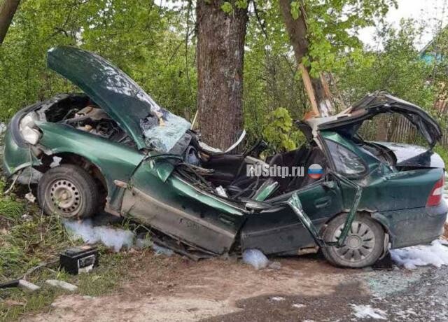Водитель и пассажир «Опеля» погибли, врезавшись в дерево 