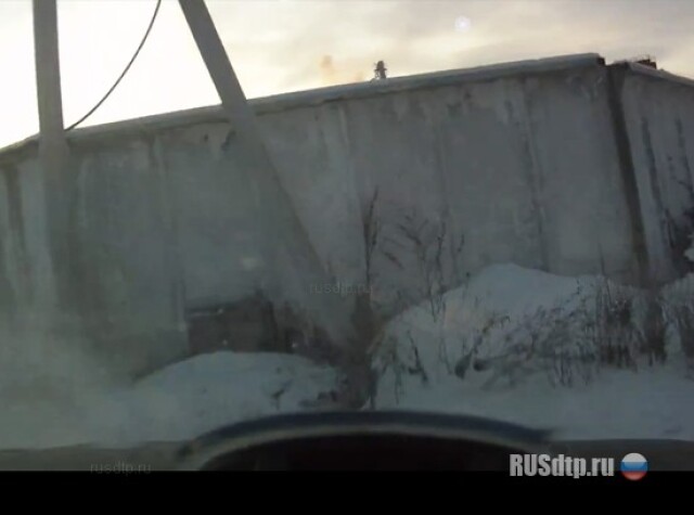 Японская резина зимней не бывает (авторское) 