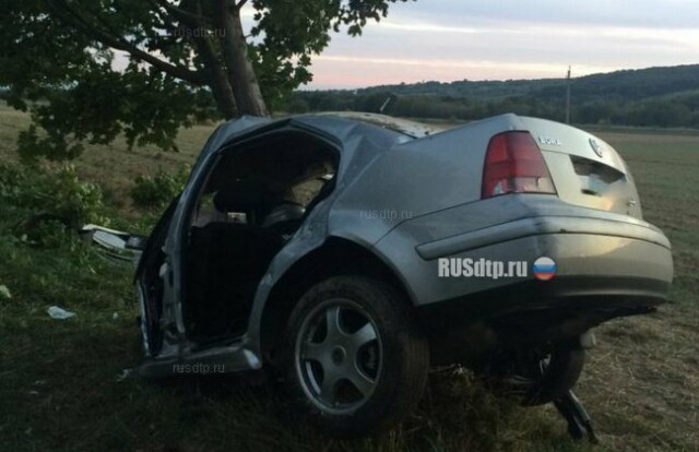 Водитель и пассажир Фольксвагена чудом выжили в ДТП 