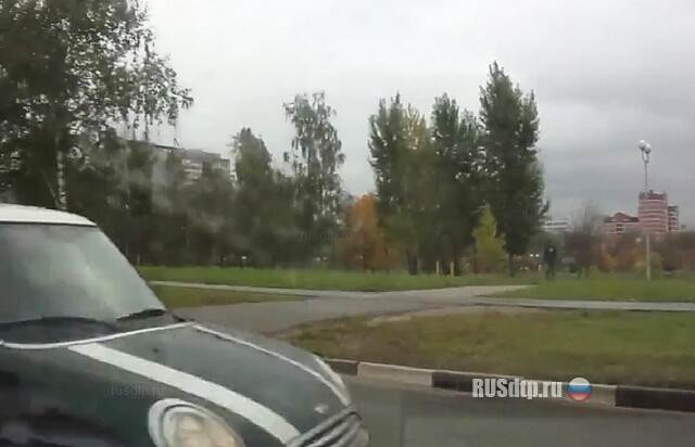 И откуда она взялась?! 