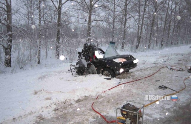 Ужасное ДТП в Нижегородской области 