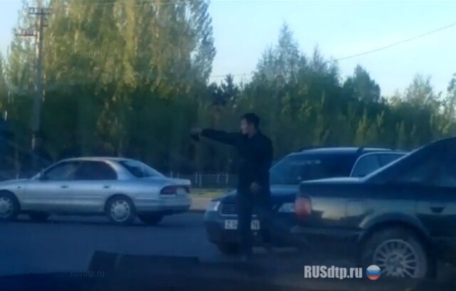 Гражданский регулировщик 