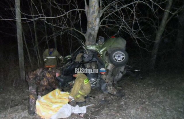 Два человека погибли в ДТП на автодороге Калуга — Орел 