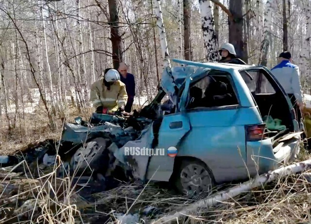 Мужчина и женщина погибли в ДТП в Курганской области 