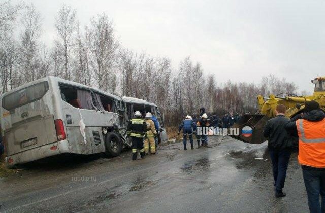 Автобус столкнулся с фурой на трассе «Иртыш». Погиб человек 