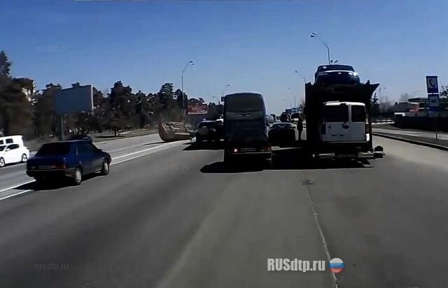 Попрыгунчик 