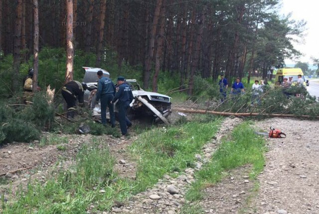 Под Минусинском двое погибли, врезавшись на автомобиле в дерево 