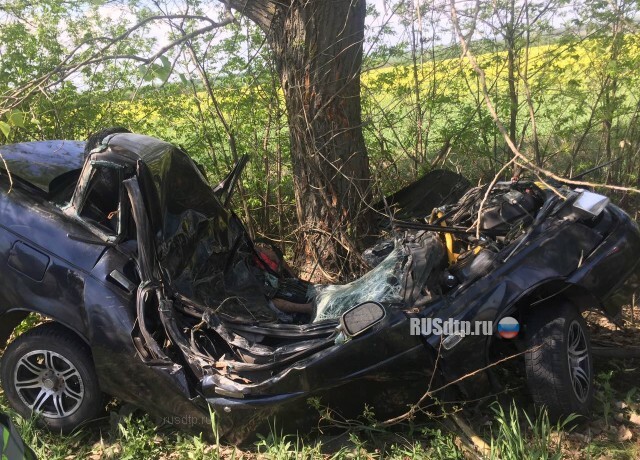 Автомобиль смяло от столкновения с деревом на Днепропетровщине 