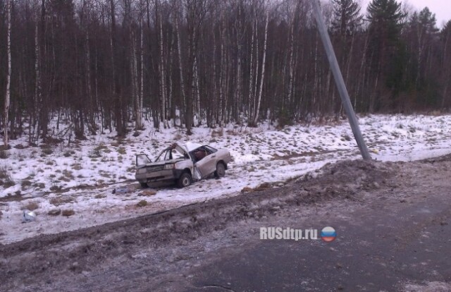 Вылетела в столб 