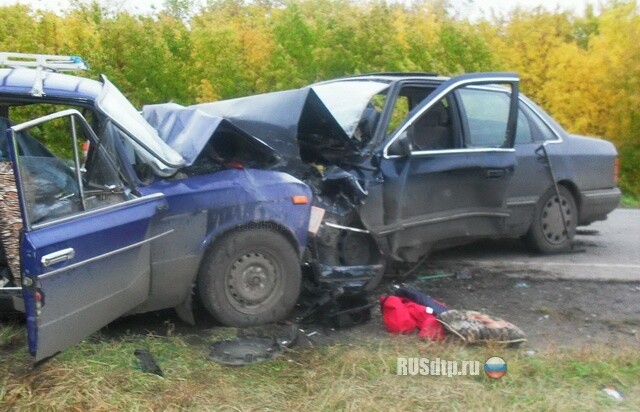 Лобовая в Омском районе 