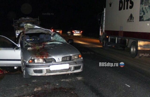 В Кемеровской области «Mitsubishi» сбил лося. Погибла пассажирка 