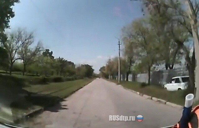 Припарковался в дерево 