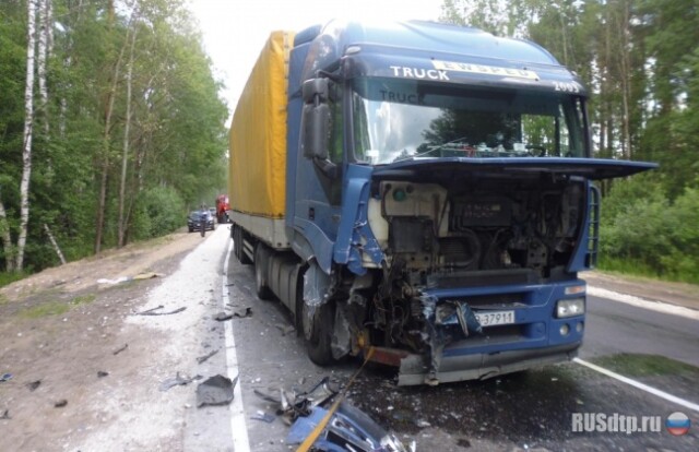 Лобовое с грузовиком в Рязанской области 