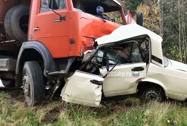89-летний водитель погиб в лобовом столкновении с КАМАЗом в Ленобласти 