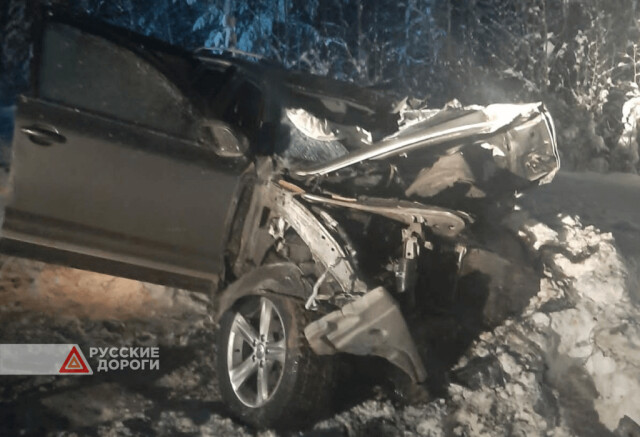 Водитель и пассажир легковушки погибли под встречным лесовозом в ХМАО 