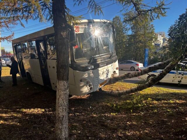 Грузовик на полном ходу снёс автобус в Ульяновске: пострадали 13 человек 